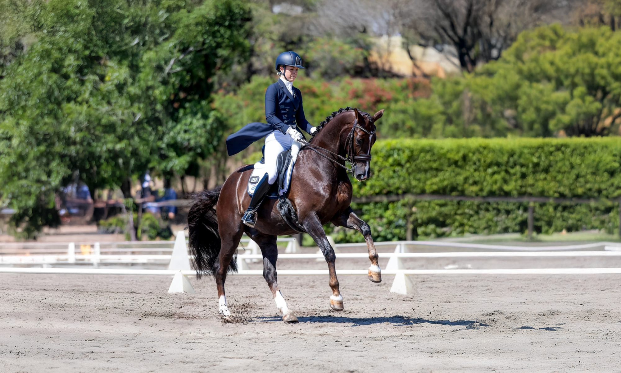 Sydney CDI Championships